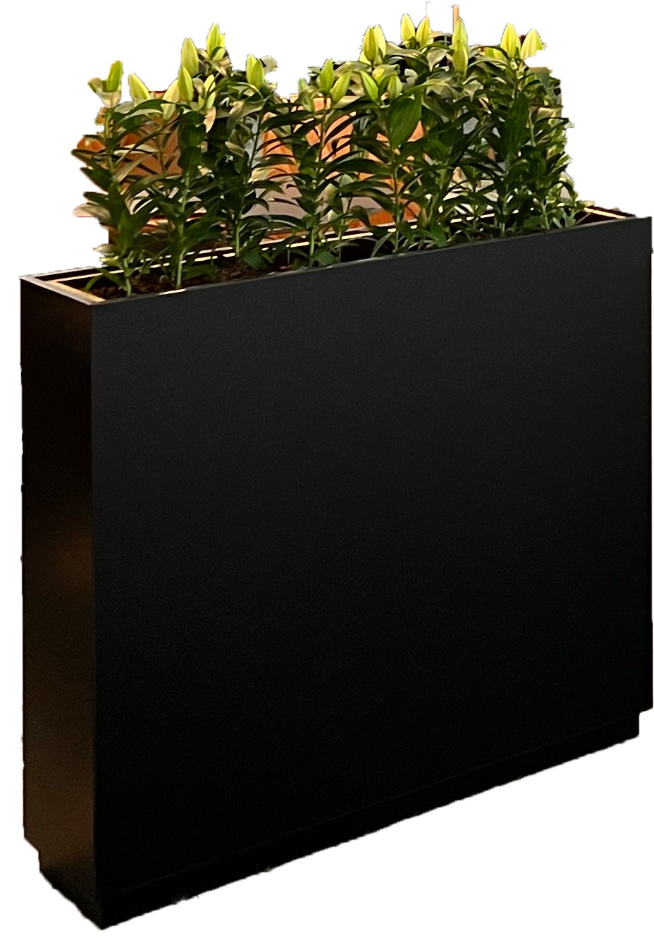 Raumteiler KRONO mit schwarzem Sockel - 1 m