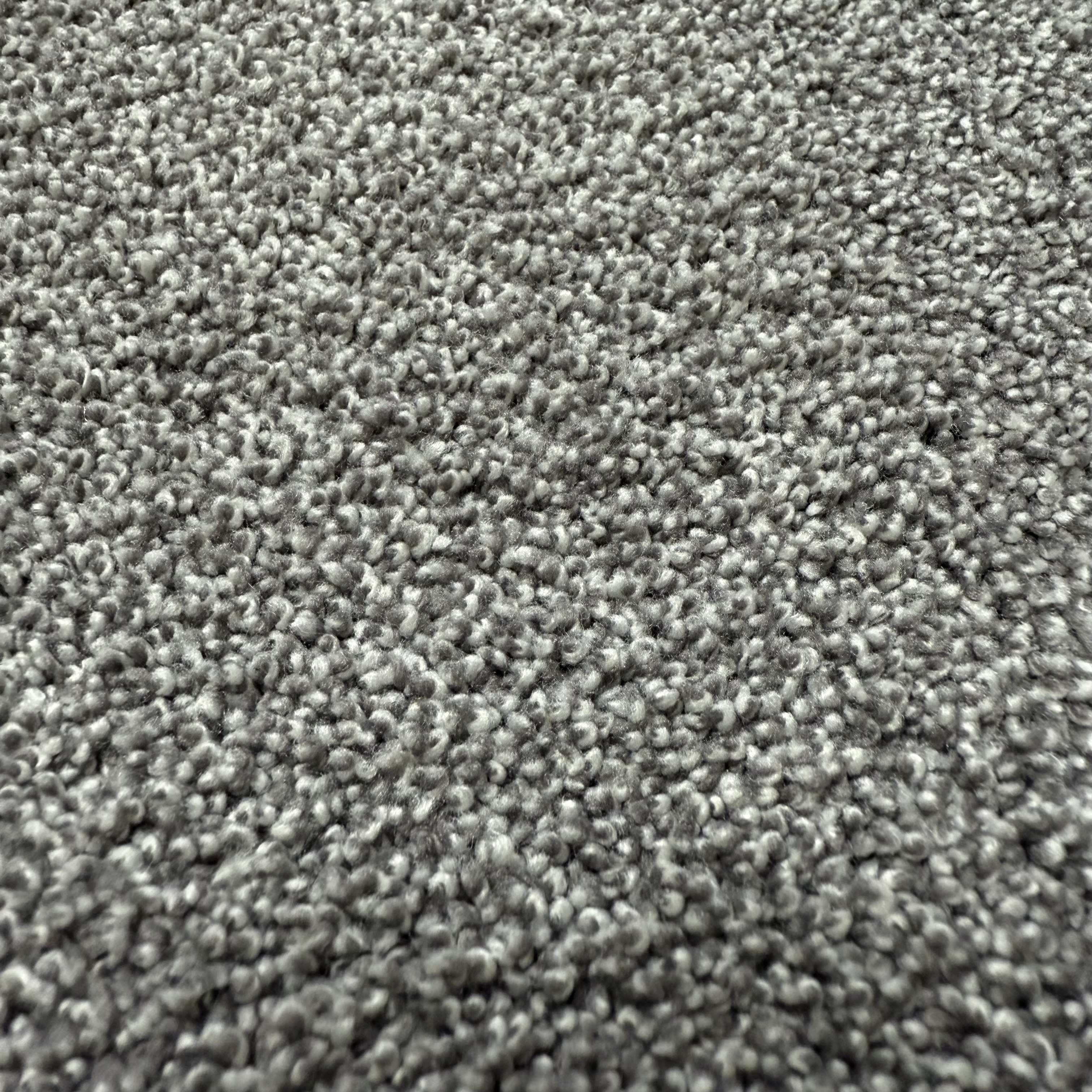 Langflorteppich HOME