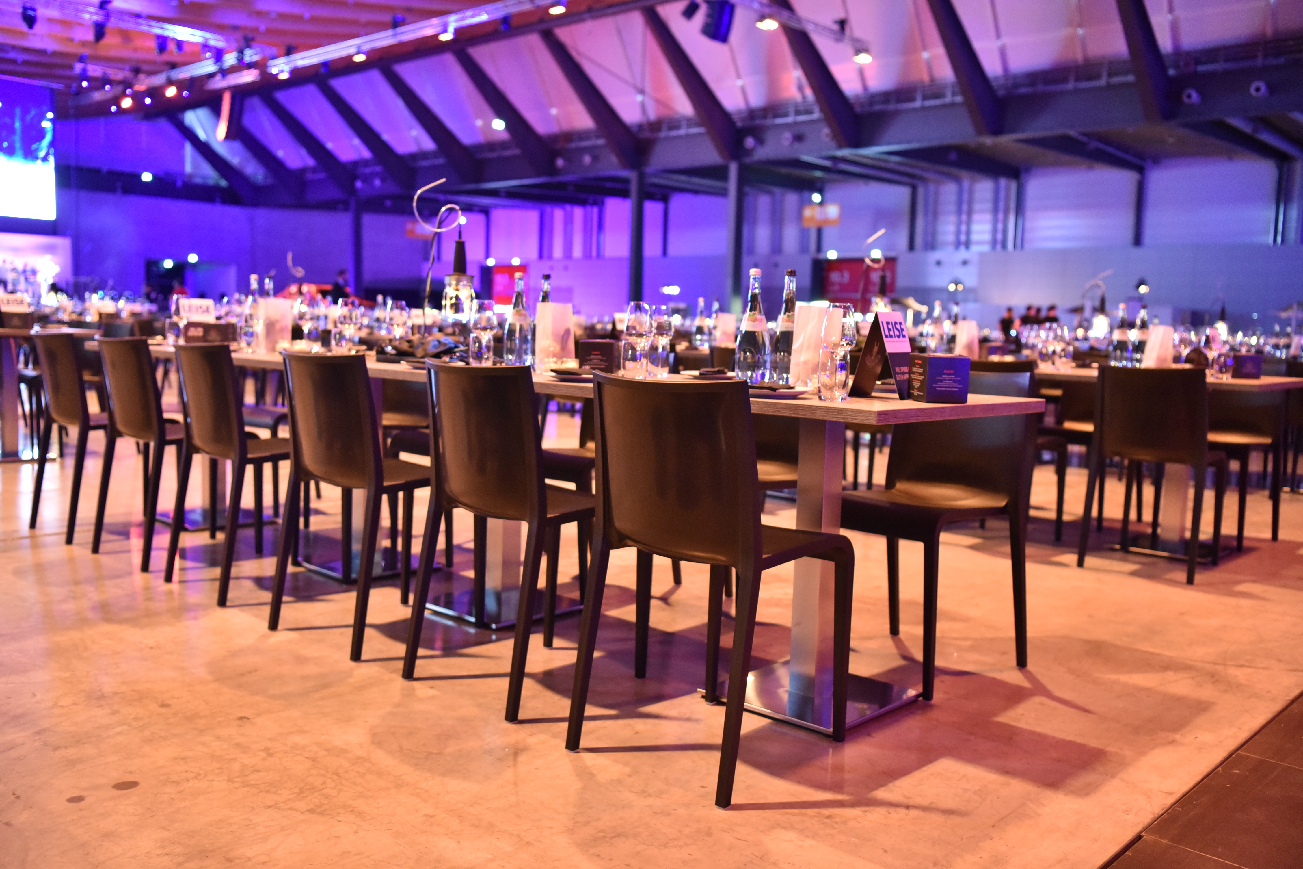 Nassau Pinie Altholz