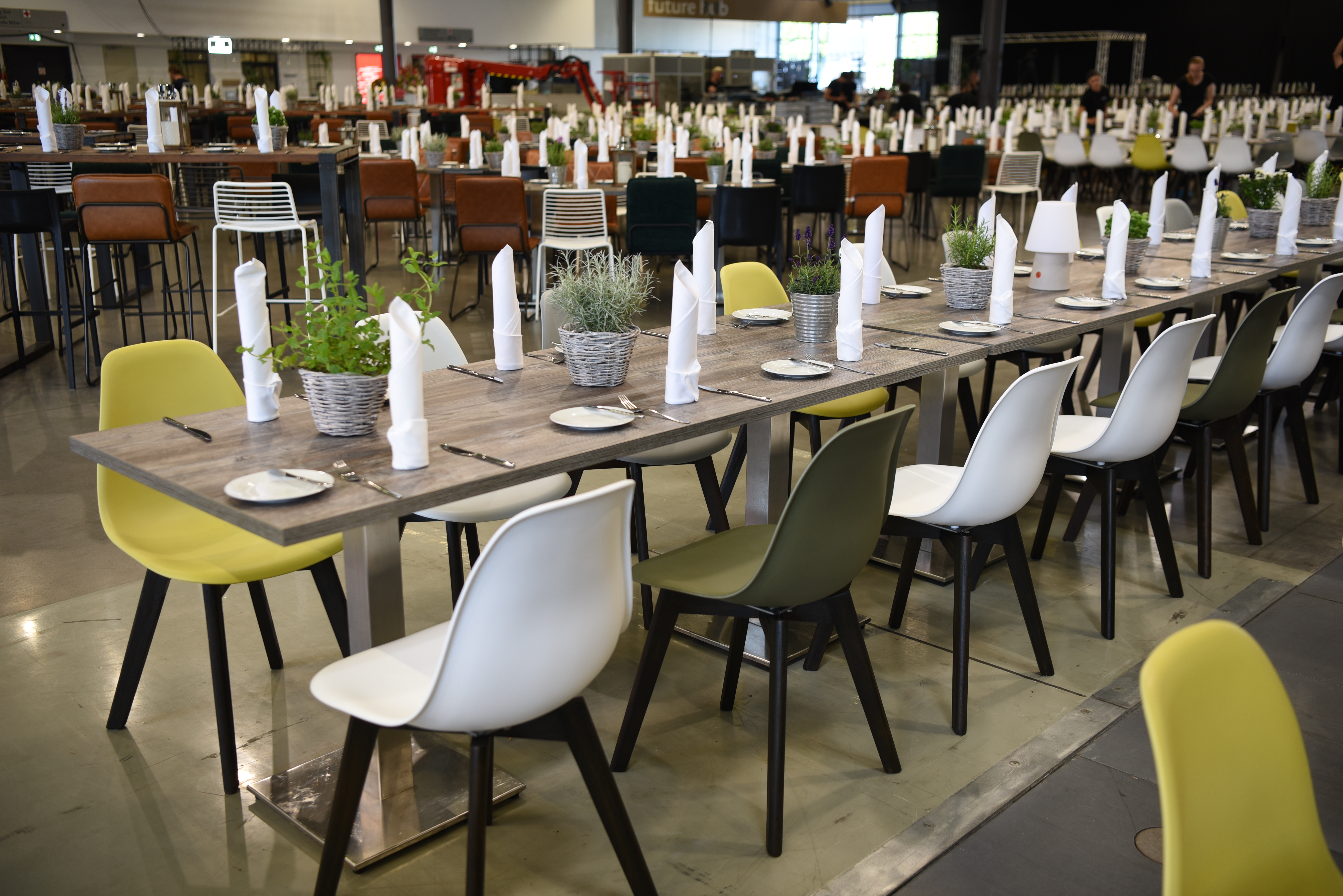 Woody_dunkel_Pinie_Tiffany