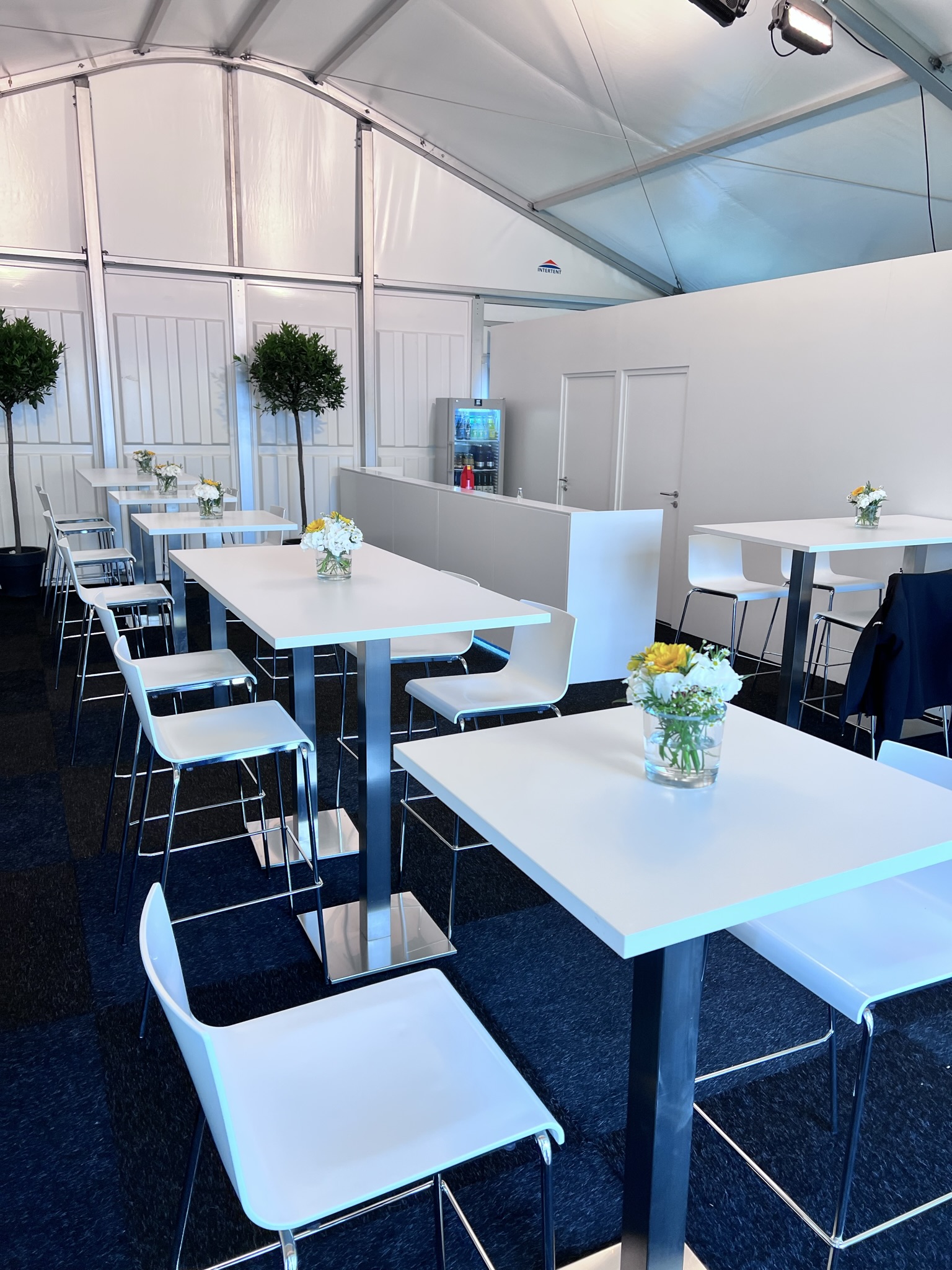 55528 + 55540 + 50154