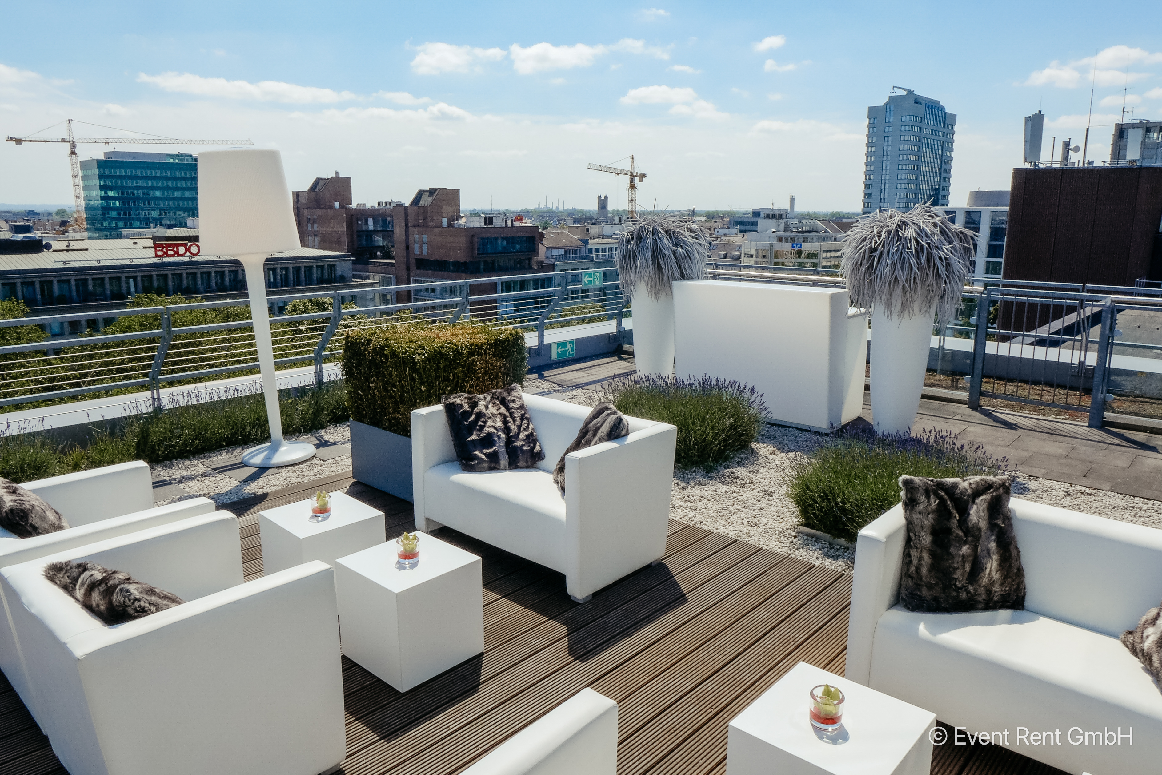 55936 + 58025 + 54104 + 52031 + 55243 + 55228 + 55