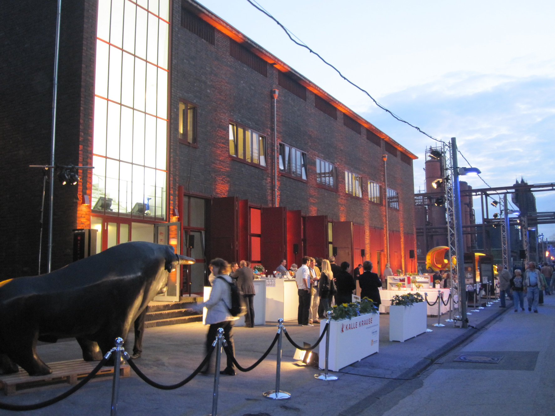 55292_Begrenzungskordel DELUXE schwarz