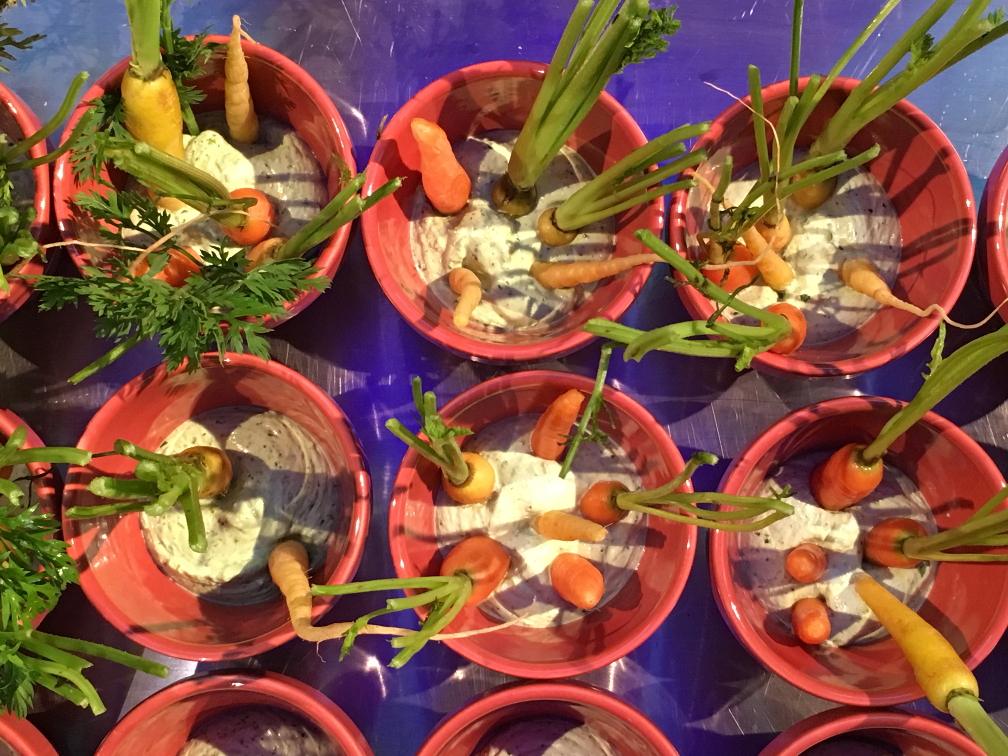 50628 + Churchill + Pot Orange - Steingut