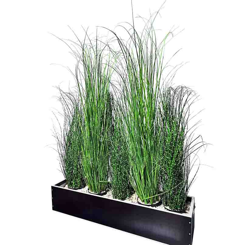 Bepflanzung zu Raumteiler KRONO/WOOD (5er Set Mixed Gräser)