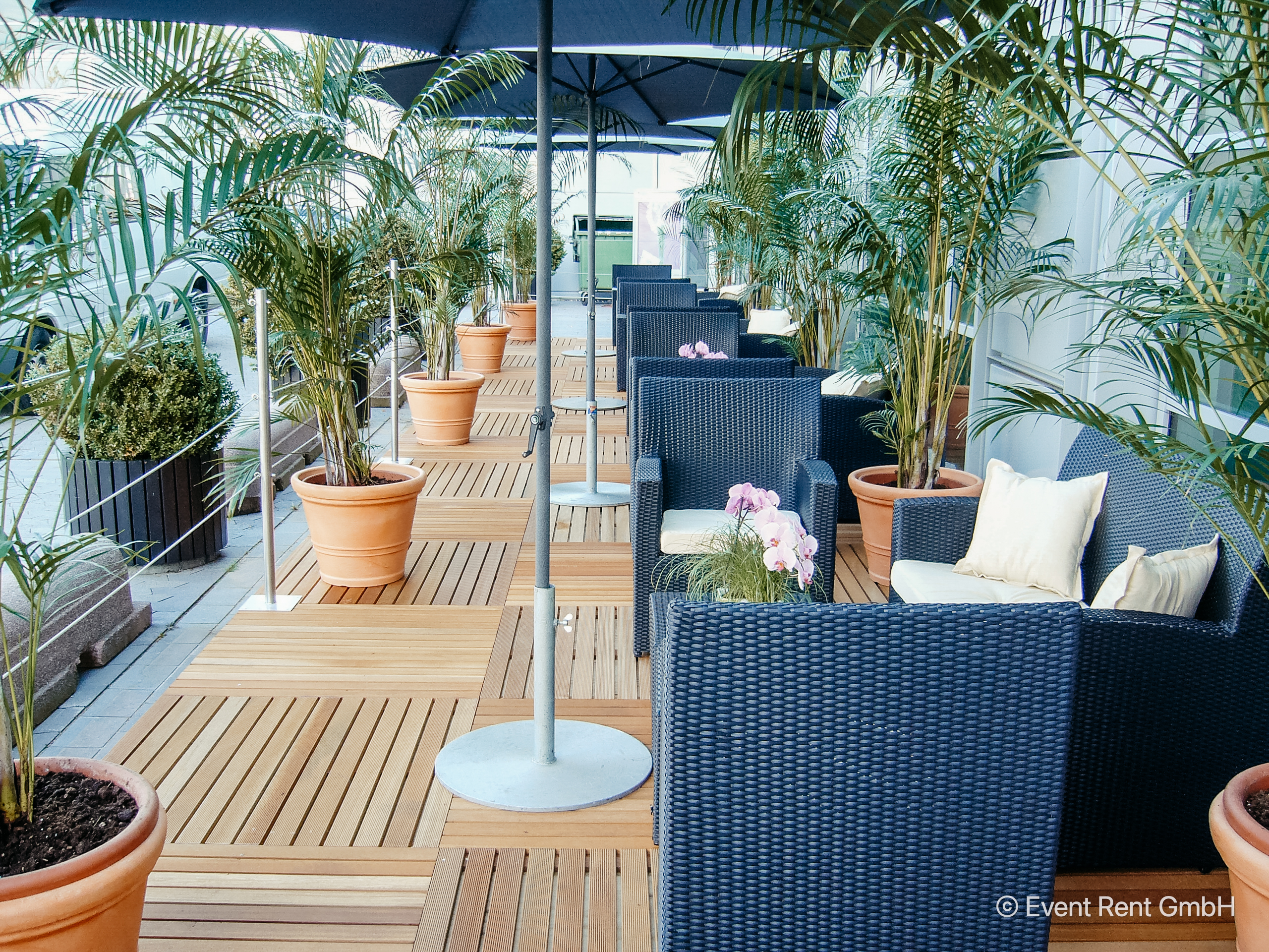 55254 + 55253 + 55252 + 52877 + 52246 + 528612