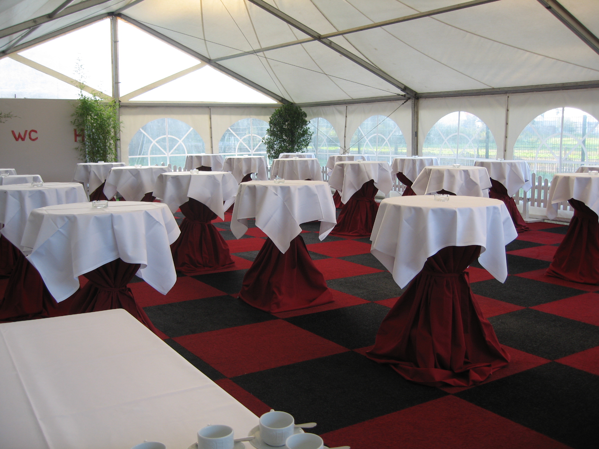 52250 + 52252 + 503804