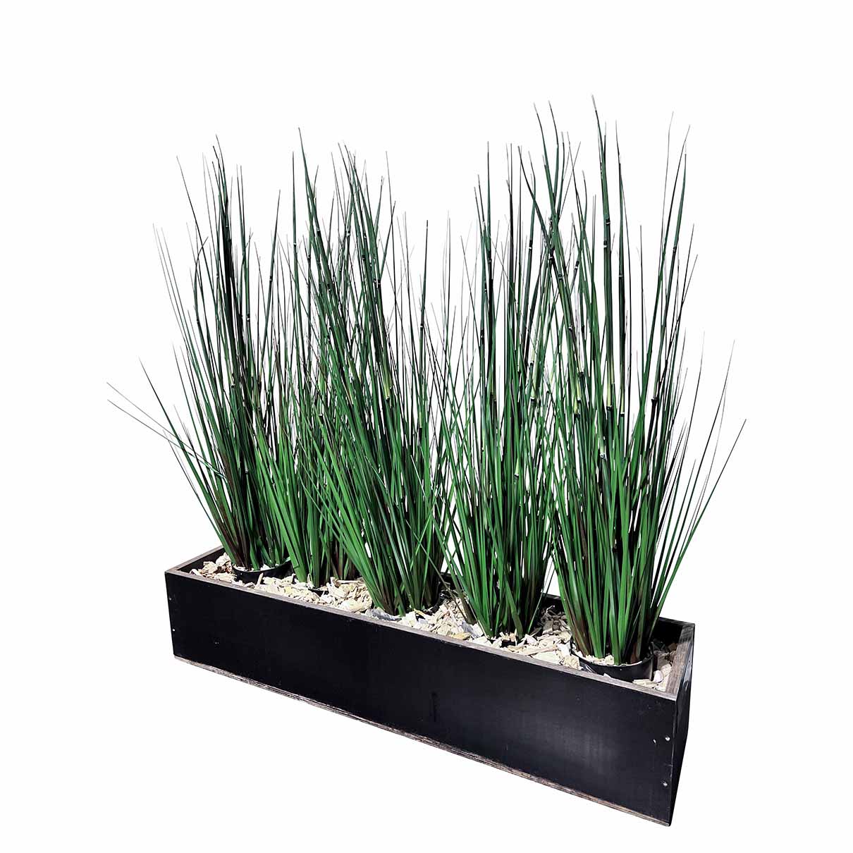 Bepflanzung zu Raumteiler KRONO/WOOD (5er Set Naturgräser)